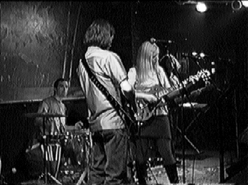 casey cyr at wetlands nyc